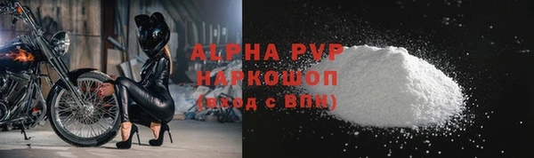амф Заволжье