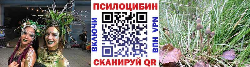Псилоцибиновые грибы мицелий Любань